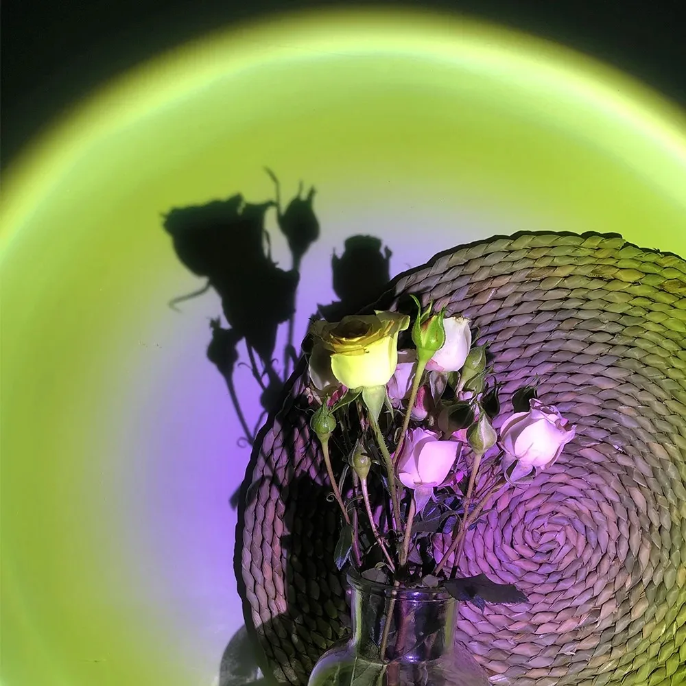 16색 일몰 램프, RGB 무드 조명, 플로어 조명,  - Photography Bulb 리뷰 및 가격